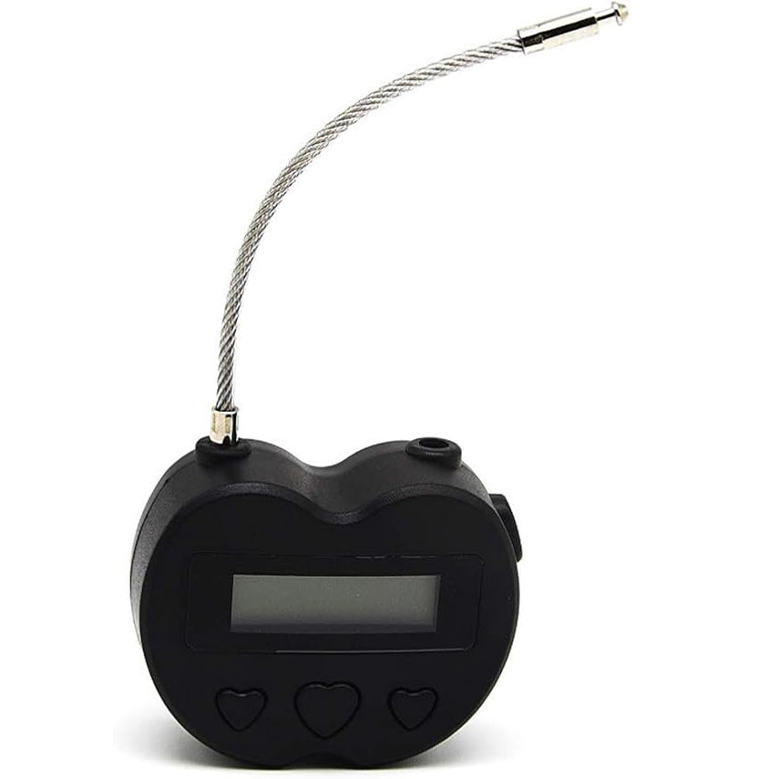 Multipurpose Electronic Security Timer Lock alternate view